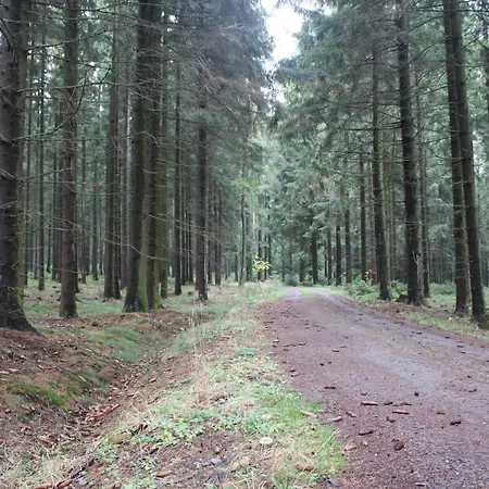 Zumseehoernchen Haus Schmetterling Tanna