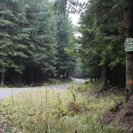 Zumseehoernchen Haus Schmetterling Tanna