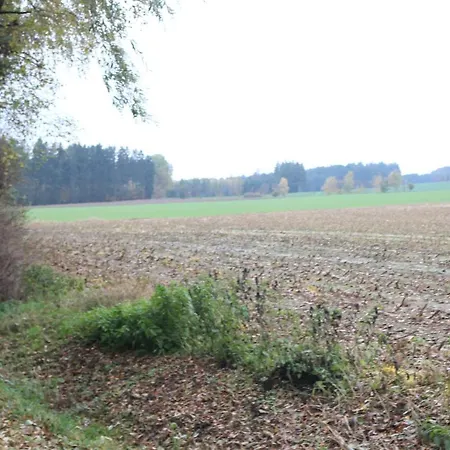Zumseehoernchen Haus Schmetterling Appartement
