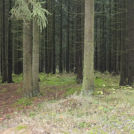 Zumseehoernchen Haus Schmetterling