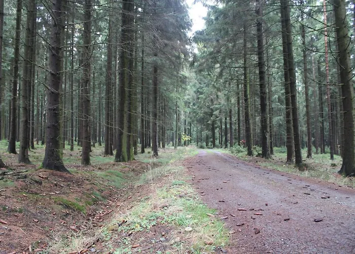 Zumseehoernchen Haus Schmetterling Tanna