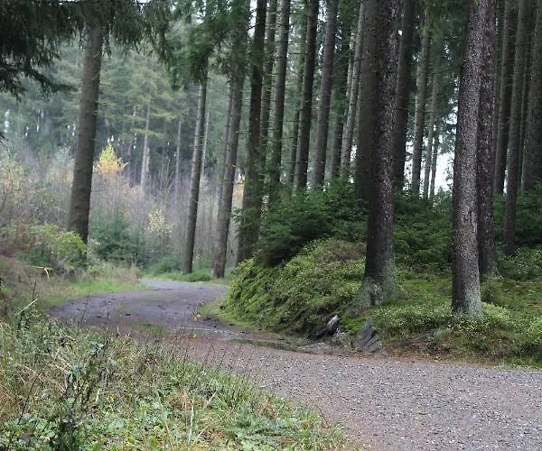 Zumseehoernchen Haus Schmetterling Lejlighed