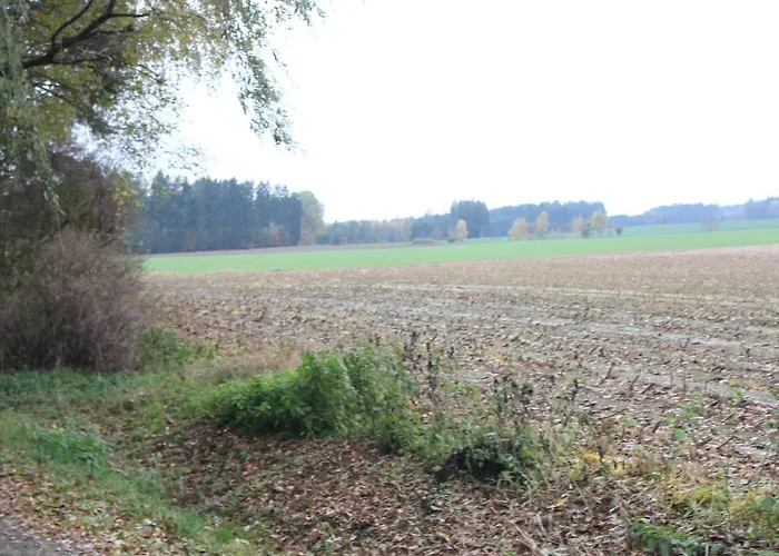 Zumseehoernchen Haus Schmetterling Lejlighed