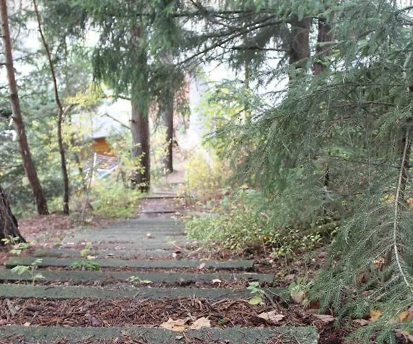 Zumseehoernchen Haus Schmetterling Lejlighed