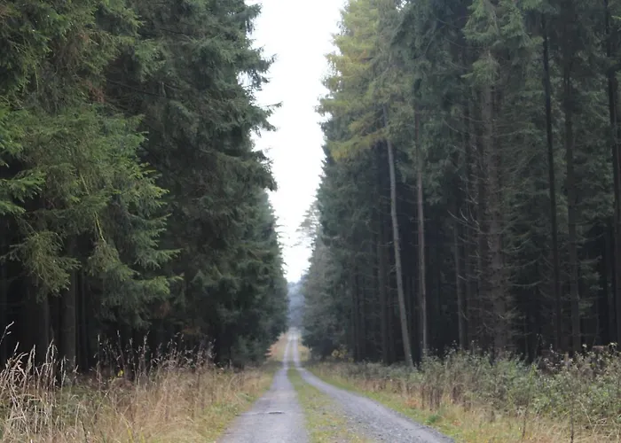 Zumseehoernchen Haus Schmetterling Lejlighed Tanna