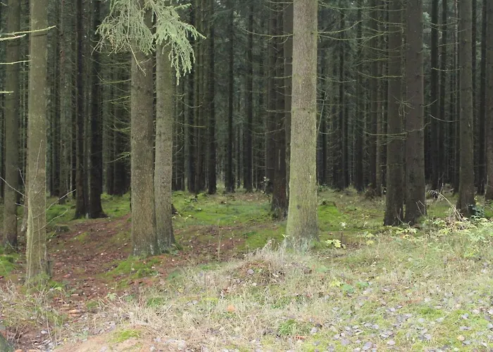 Zumseehoernchen Haus Schmetterling