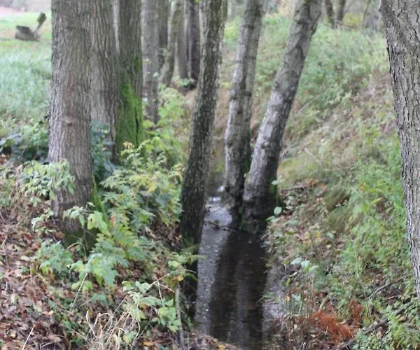 Zumseehoernchen Haus Schmetterling *